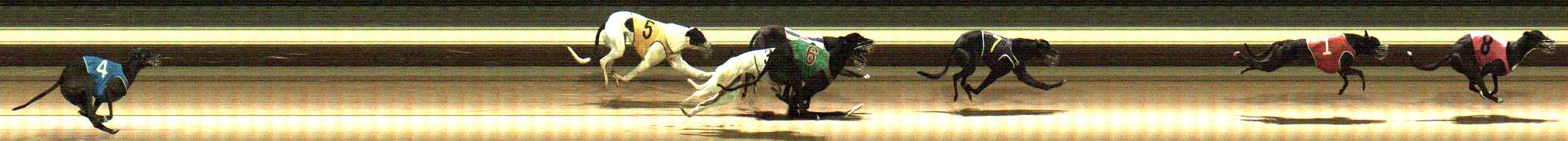 Photo finish for Warragul Race 4