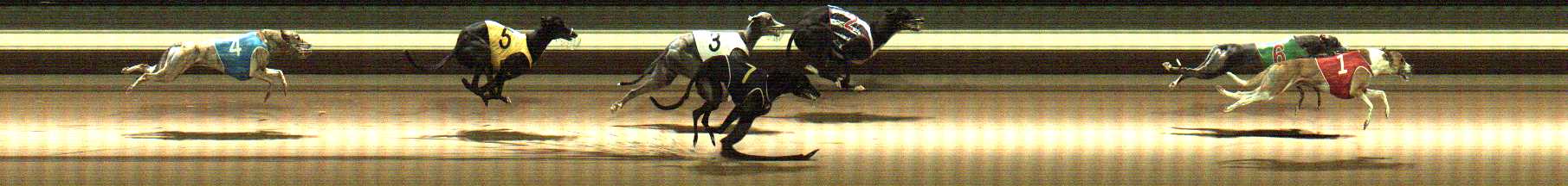 Photo finish for Warragul Race 5