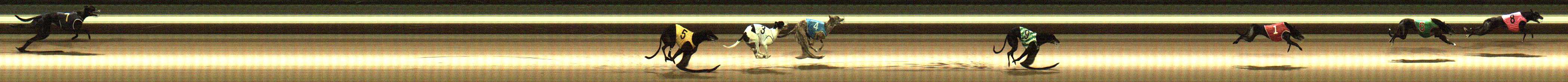 Photo finish for Warragul Race 6