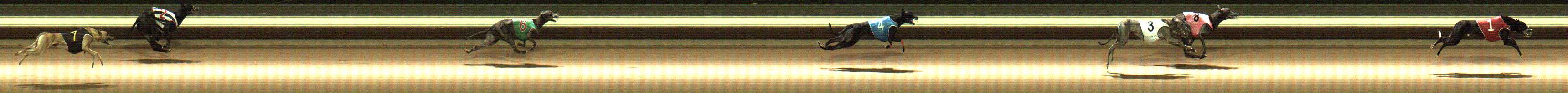 Photo finish for Warragul Race 7