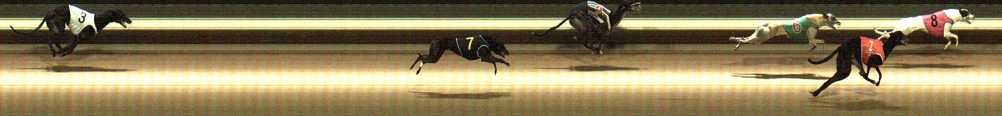 Photo finish for Warragul Race 8