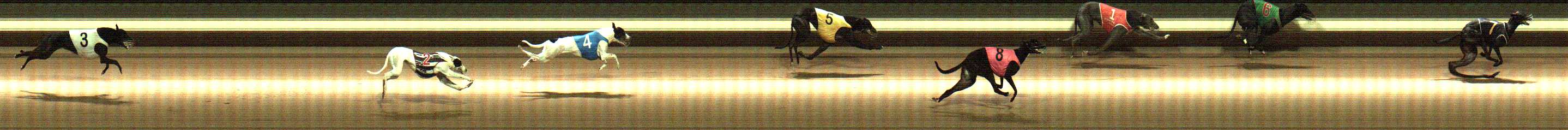 Photo finish for Warragul Race 9