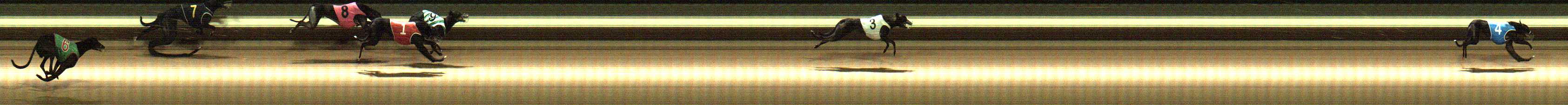 Photo finish for Warragul Race 11