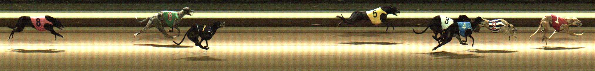 Photo finish for Warragul Race 12