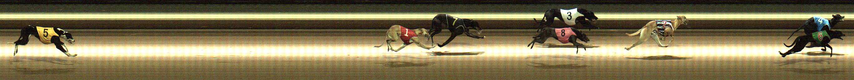 Photo finish for Warragul Race 1