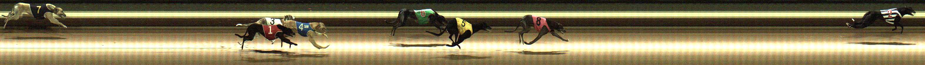 Photo finish for Warragul Race 2