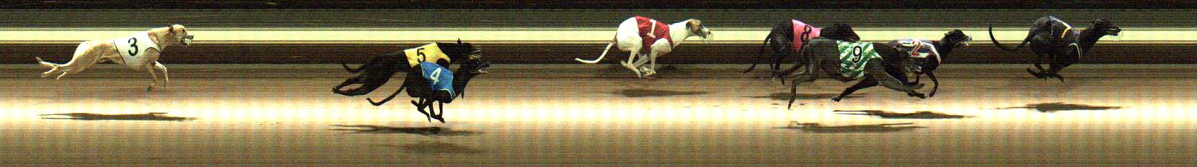 Photo finish for Warragul Race 3