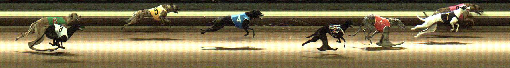 Photo finish for Warragul Race 5