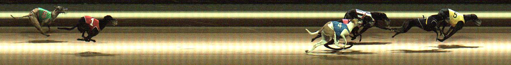 Photo finish for Warragul Race 6