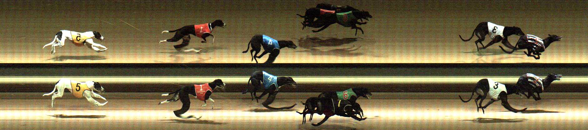 Photo finish for Warragul Race 7