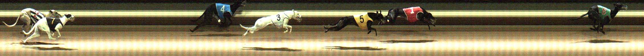 Photo finish for Warragul Race 8
