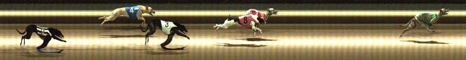 Photo finish for Warragul Race 9
