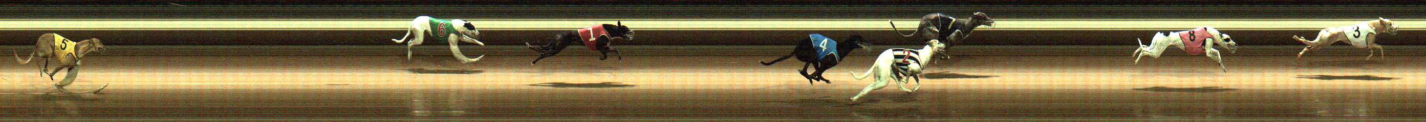 Photo finish for Warragul Race 10