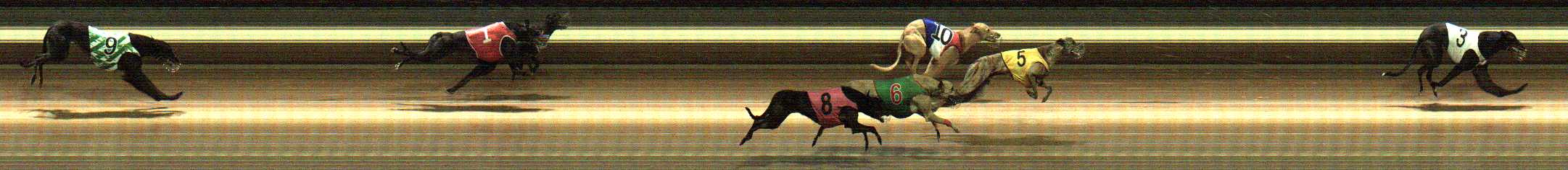 Photo finish for Warragul Race 11