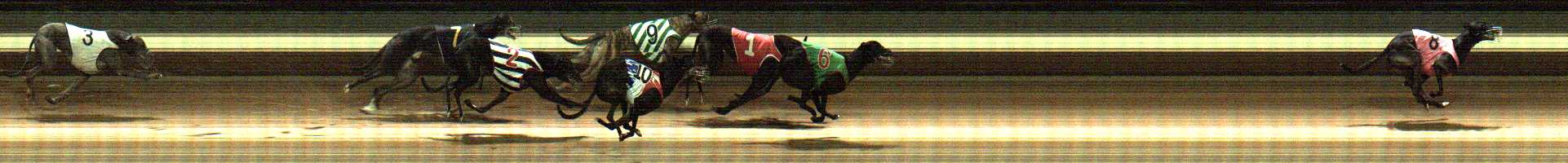 Photo finish for Warragul Race 12