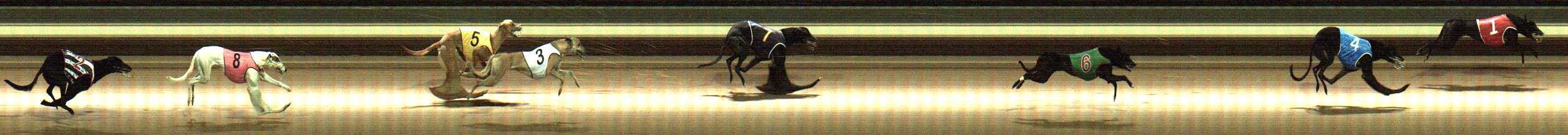 Photo finish for Warragul Race 1