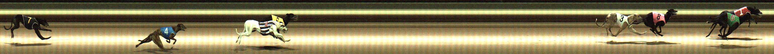 Photo finish for Warragul Race 2