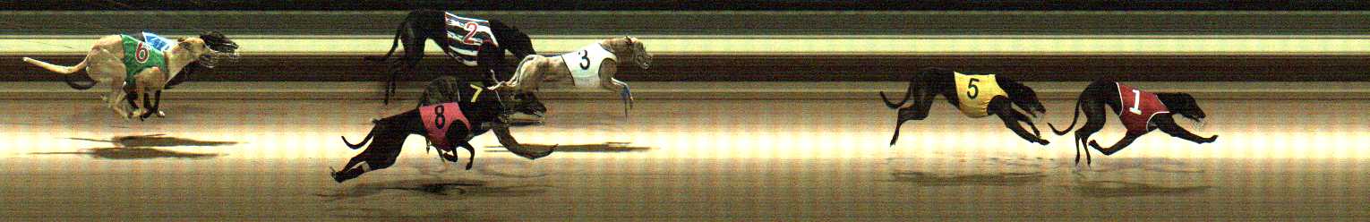 Photo finish for Warragul Race 3