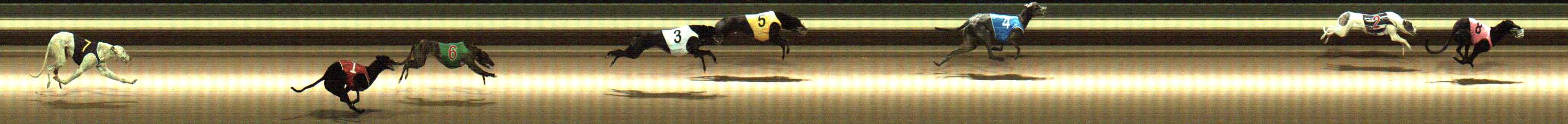 Photo finish for Warragul Race 4