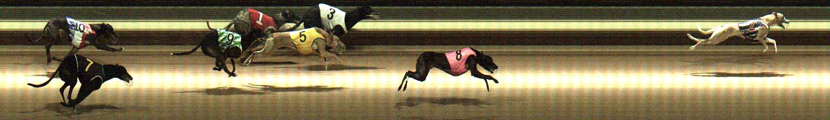 Photo finish for Warragul Race 5