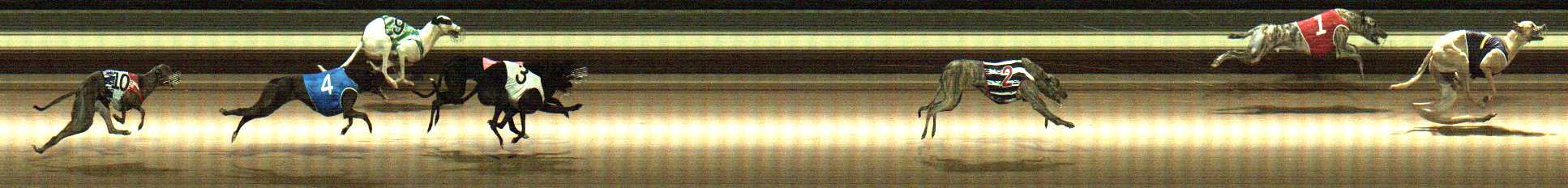 Photo finish for Warragul Race 6