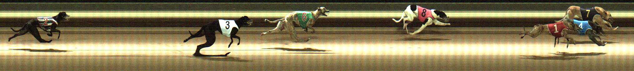Photo finish for Warragul Race 7