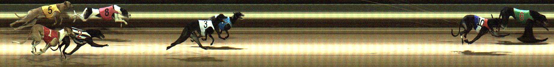 Photo finish for Warragul Race 8