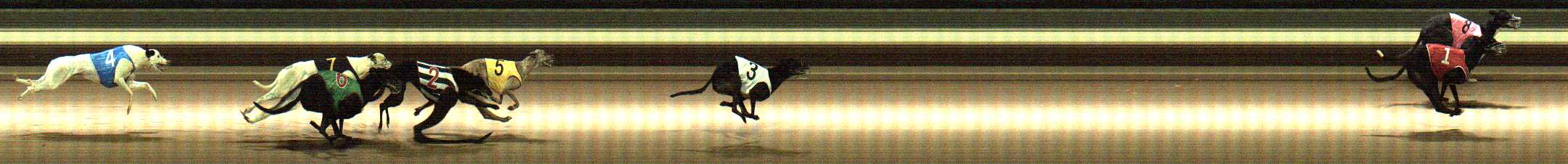 Photo finish for Warragul Race 9