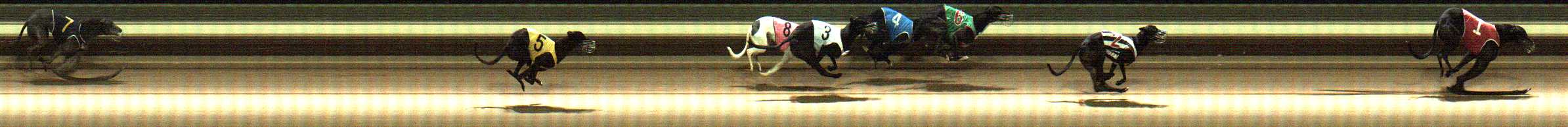 Photo finish for Warragul Race 10