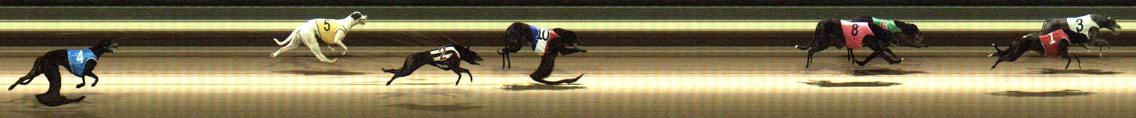 Photo finish for Warragul Race 11