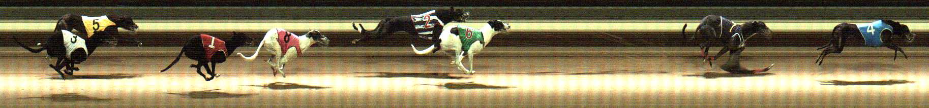 Photo finish for Warragul Race 12