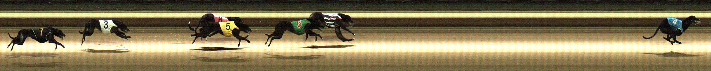 Photo finish for Warragul Race 1