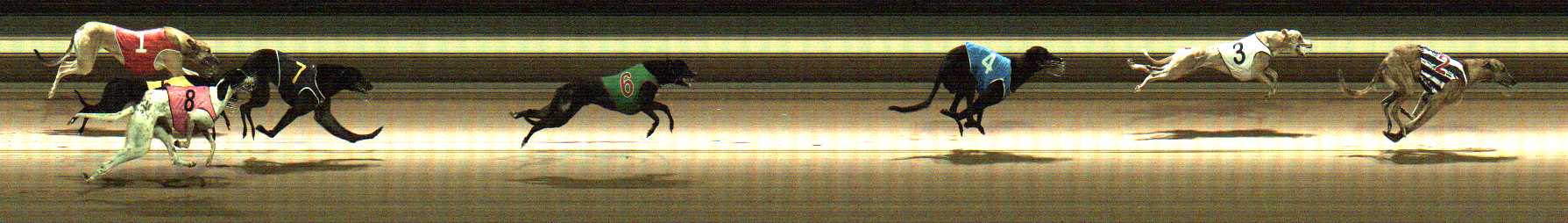 Photo finish for Warragul Race 2