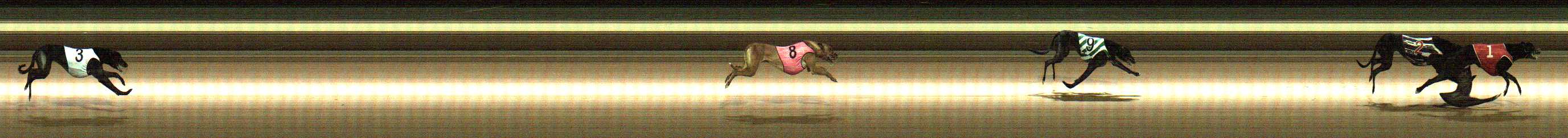 Photo finish for Warragul Race 3