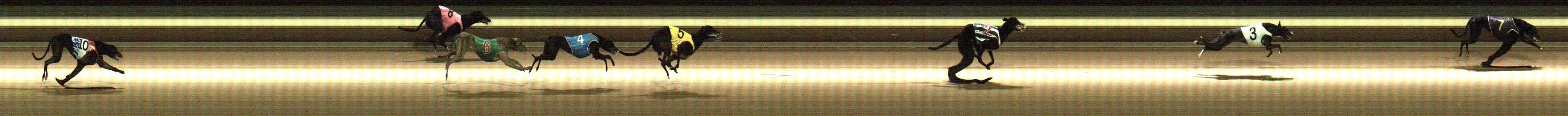 Photo finish for Warragul Race 4