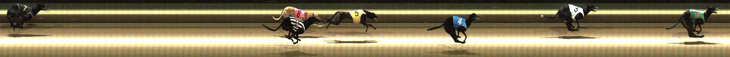 Photo finish for Warragul Race 5
