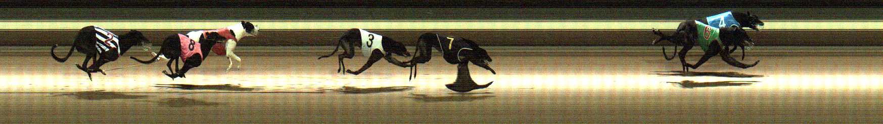 Photo finish for Warragul Race 6