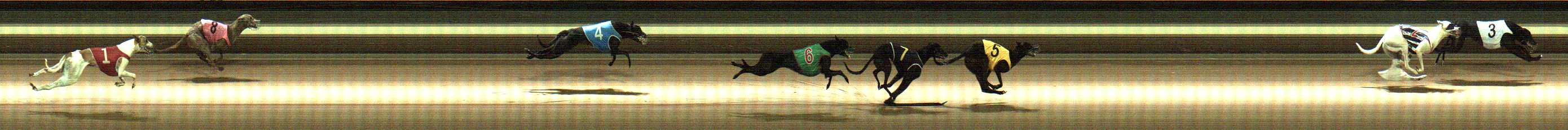 Photo finish for Warragul Race 7