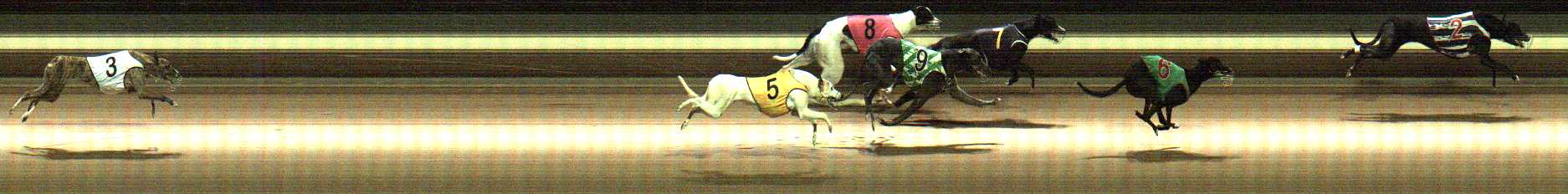 Photo finish for Warragul Race 8