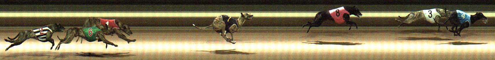 Photo finish for Warragul Race 10