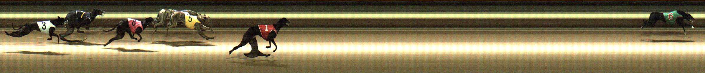 Photo finish for Warragul Race 11