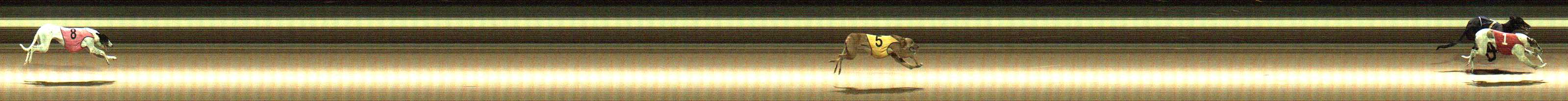 Photo finish for Warragul Race 12
