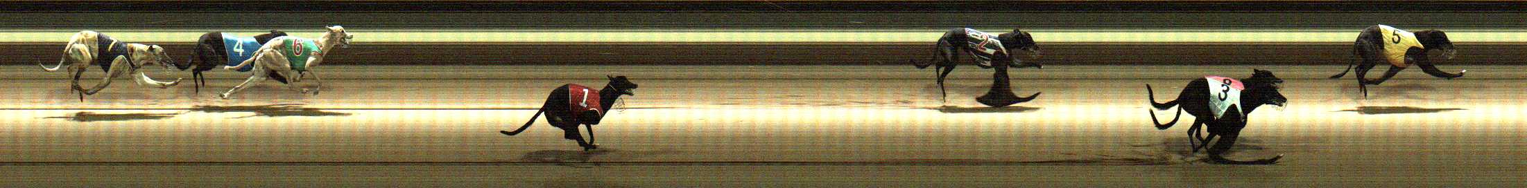 Photo finish for Warragul Race 2