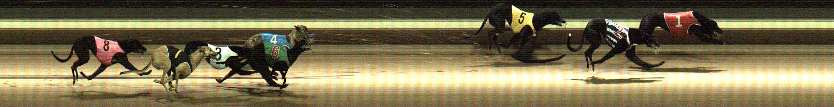 Photo finish for Warragul Race 3