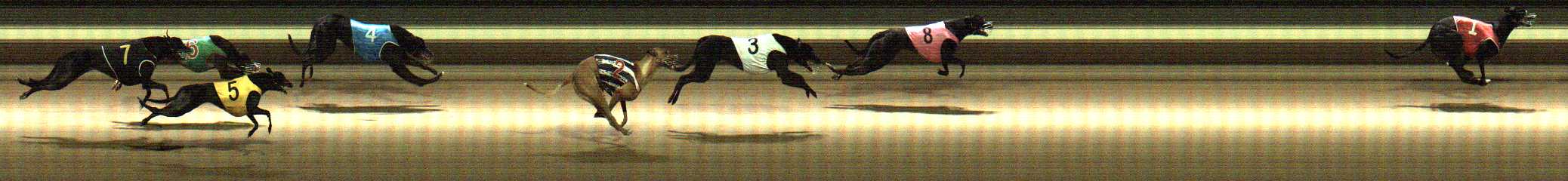 Photo finish for Warragul Race 4