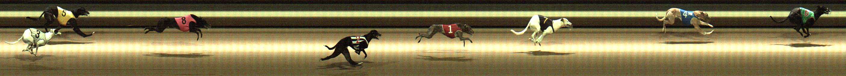 Photo finish for Warragul Race 5