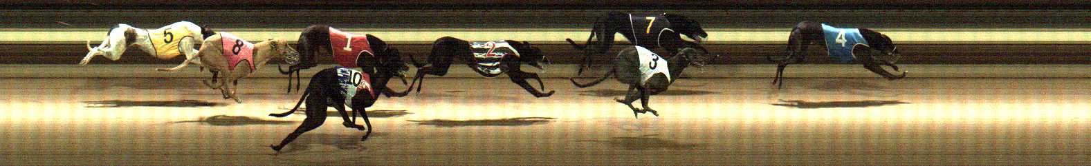 Photo finish for Warragul Race 6