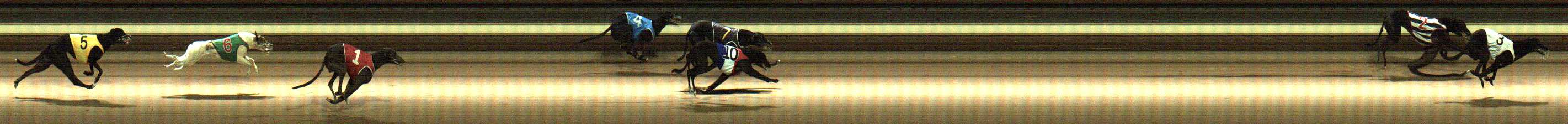 Photo finish for Warragul Race 7