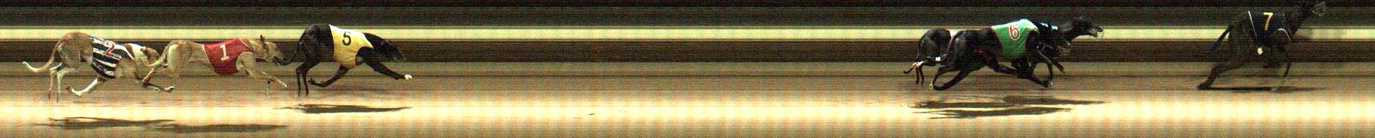 Photo finish for Warragul Race 8