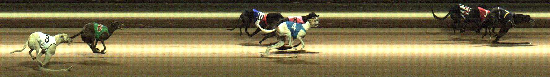 Photo finish for Warragul Race 9